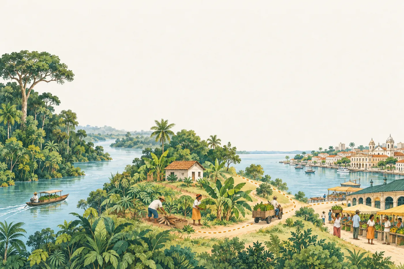 Ilustração em aquarela do caminho da floresta até a cidade: rio, roças e Belém ao fundo, ligados por uma linha pontilhada.
